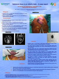 30d6d58604e12e198dc63fe11d60baa1d3720ddf