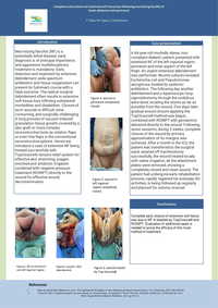 95aadf2e1bc24a0db4f630a74d5be500751d785a